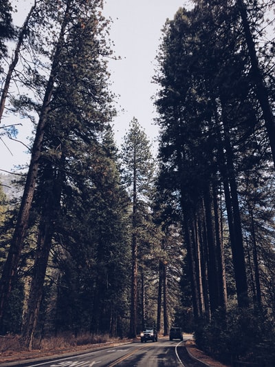 黑车在山路上驶来